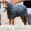 200g Combo Horse Rug Liner 2 200g Combo Horse Rug Liner -Premier Equine 200g combo horse rug liner 206520050 332611