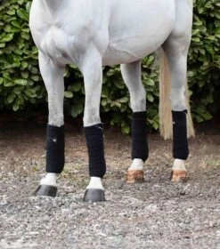 Horse Polo Fleece Bandages 7 Horse Polo Fleece Bandages -Premier Equine 3203