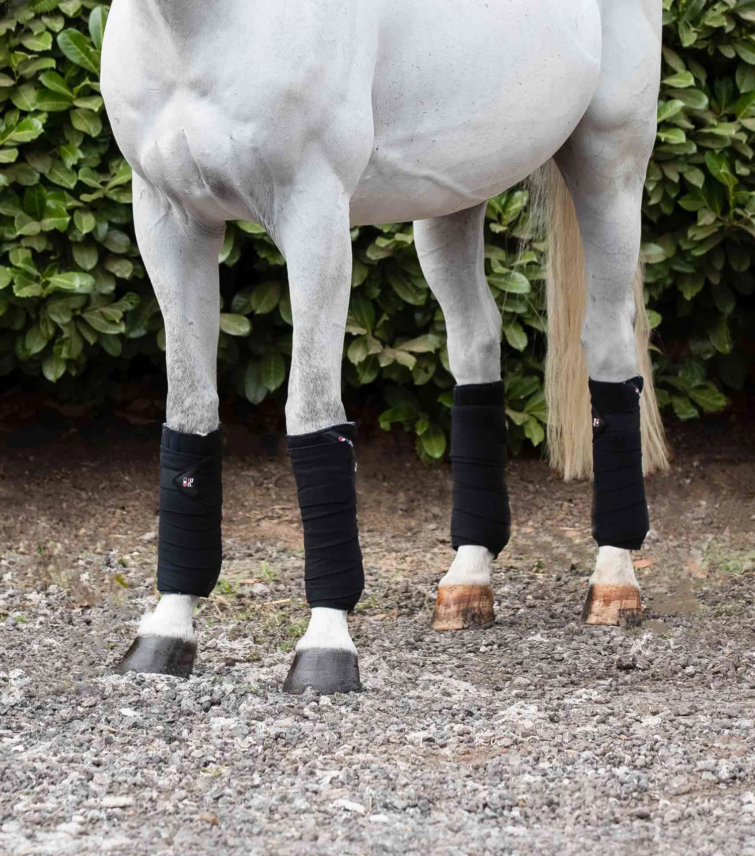 Horse Polo Fleece Bandages 5 Horse Polo Fleece Bandages - Image 3