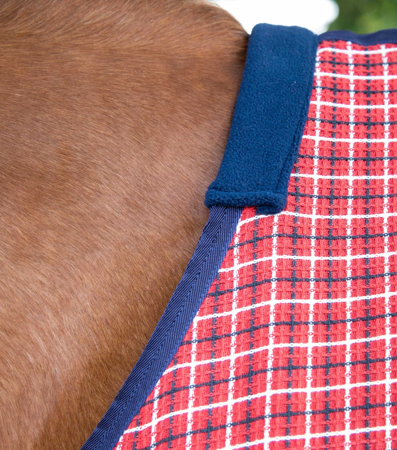 3D Waffle Cooler 10 3D Waffle Cooler - Image 8