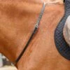 Altino Horse Neck Strap -Premier Equine Altino Horse Neck Strap Black 1
