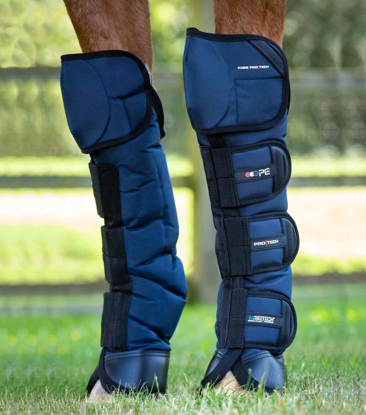 Ballistic Knee Pro-Tech Horse Travel Boots 3 Ballistic Knee Pro-Tech Horse Travel Boots