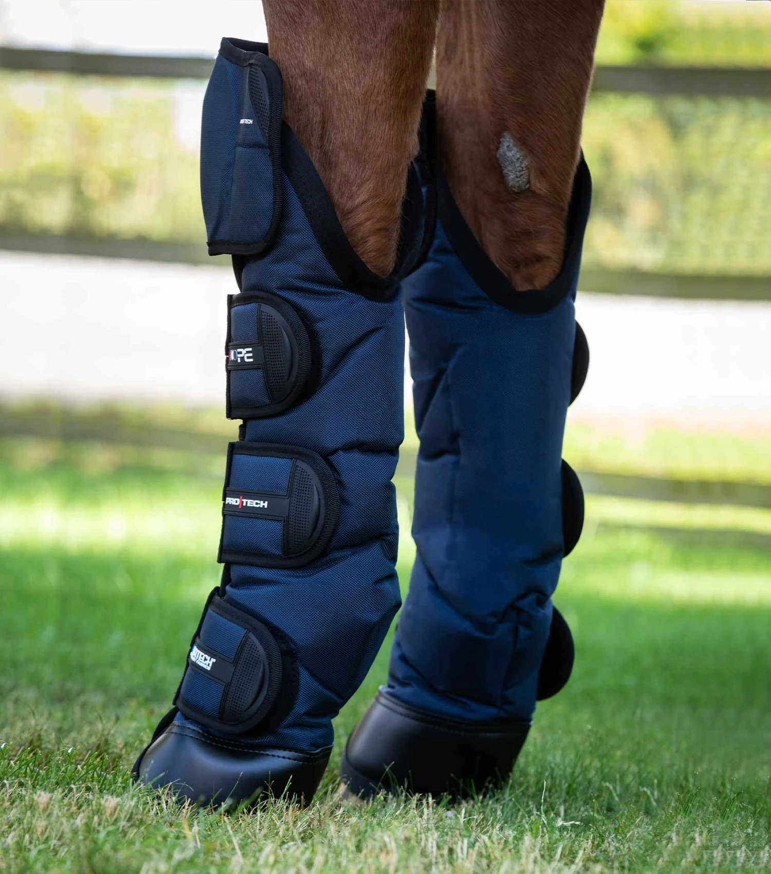 Ballistic Knee Pro-Tech Horse Travel Boots 5 Ballistic Knee Pro-Tech Horse Travel Boots - Image 3