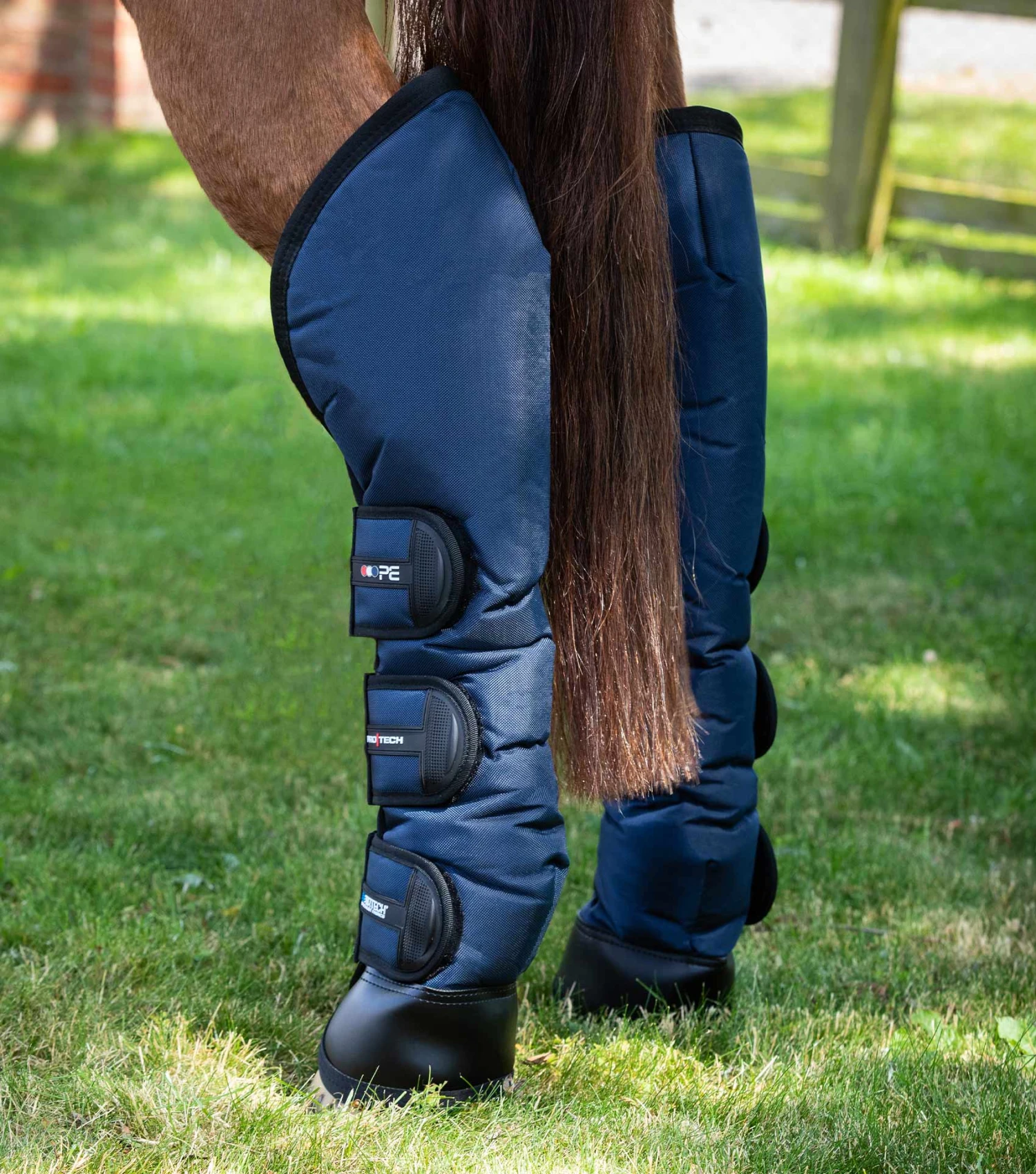 Ballistic Knee Pro-Tech Horse Travel Boots 7 Ballistic Knee Pro-Tech Horse Travel Boots - Image 5