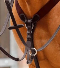 Baressa Elastic Jumping Breastplate -Premier Equine Baressa Elastic Jumping Breastplate Brown 3 ab2ccccd 6ad1 471b 8996 4979eed5254e