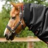 Buster 100g Turnout Rug Neck Cover (100g Fill)