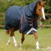Buster 100g Turnout Rug With Snug-Fit Neck Cover 1 Buster 100g Turnout Rug With Snug-Fit Neck Cover -Premier Equine Buster 100 Turnout Rug Navy 1