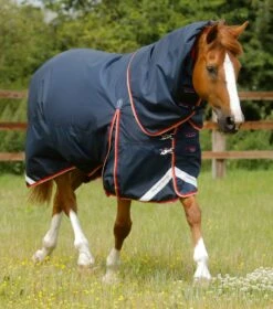 Buster 100g Turnout Rug With Snug-Fit Neck Cover