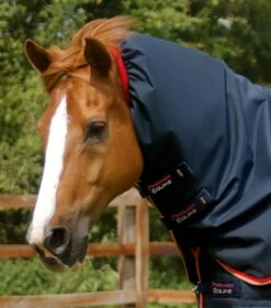 Buster 100g Turnout Rug With Snug-Fit Neck Cover -Premier Equine Buster 100 Turnout Rug Navy 3 2fb07548 057b 4337 9bb1 c60246c783e4