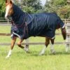 Buster 150g Turnout Rug With Classic Neck Cover 1 Buster 150g Turnout Rug With Classic Neck Cover -Premier Equine Buster 150 Navy 1