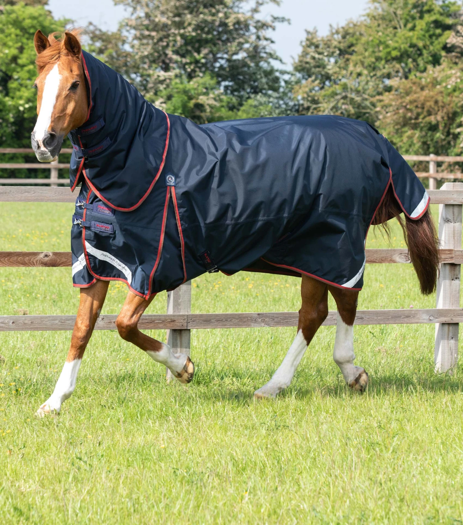 Buster 150g Turnout Rug With Classic Neck Cover 3 Buster 150g Turnout Rug With Classic Neck Cover