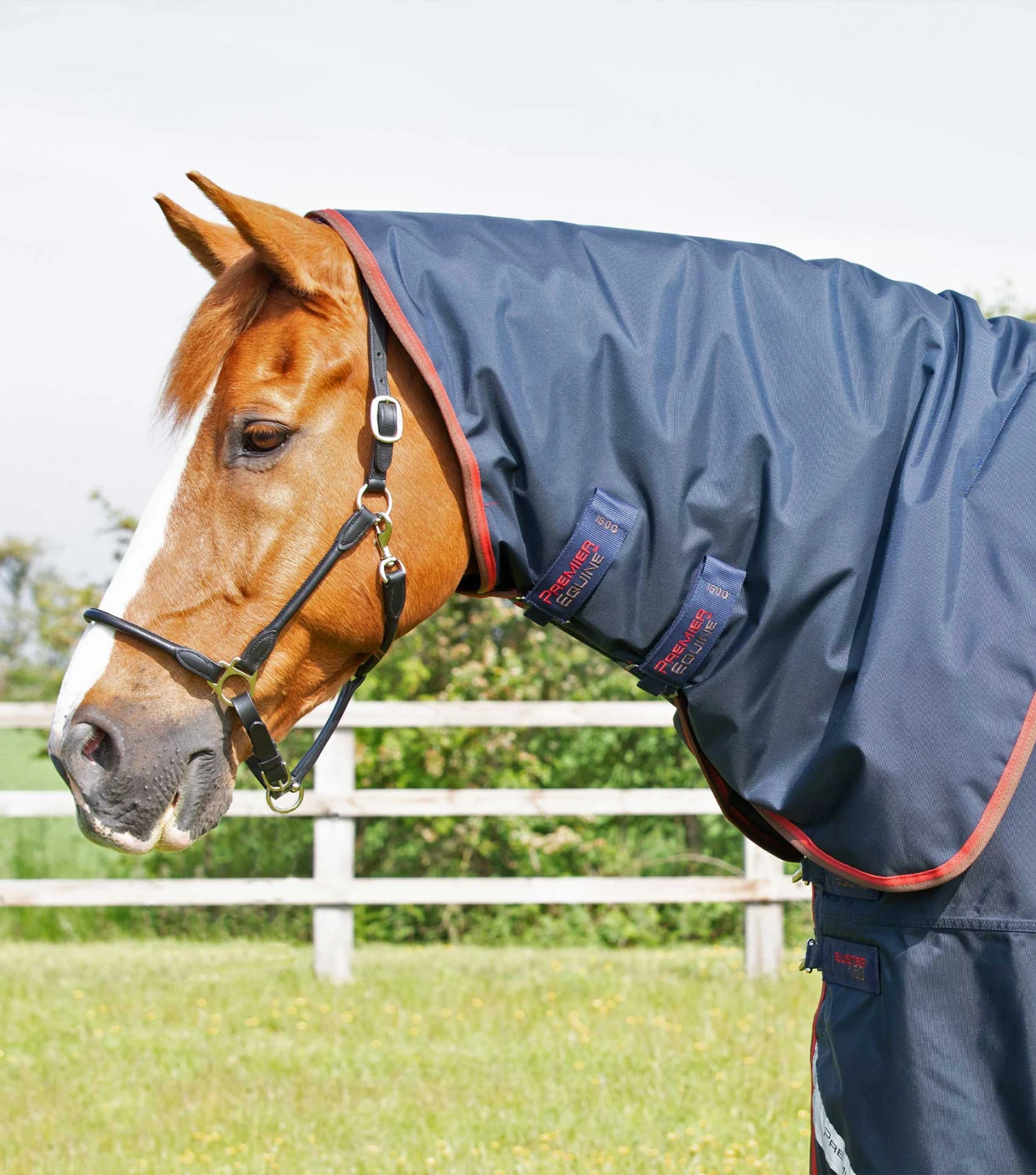 Buster 150g Turnout Rug With Classic Neck Cover 4 Buster 150g Turnout Rug With Classic Neck Cover - Image 2