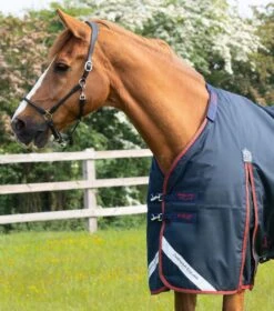Buster 150g Turnout Rug With Classic Neck Cover 9 Buster 150g Turnout Rug With Classic Neck Cover -Premier Equine Buster 150 Navy 3