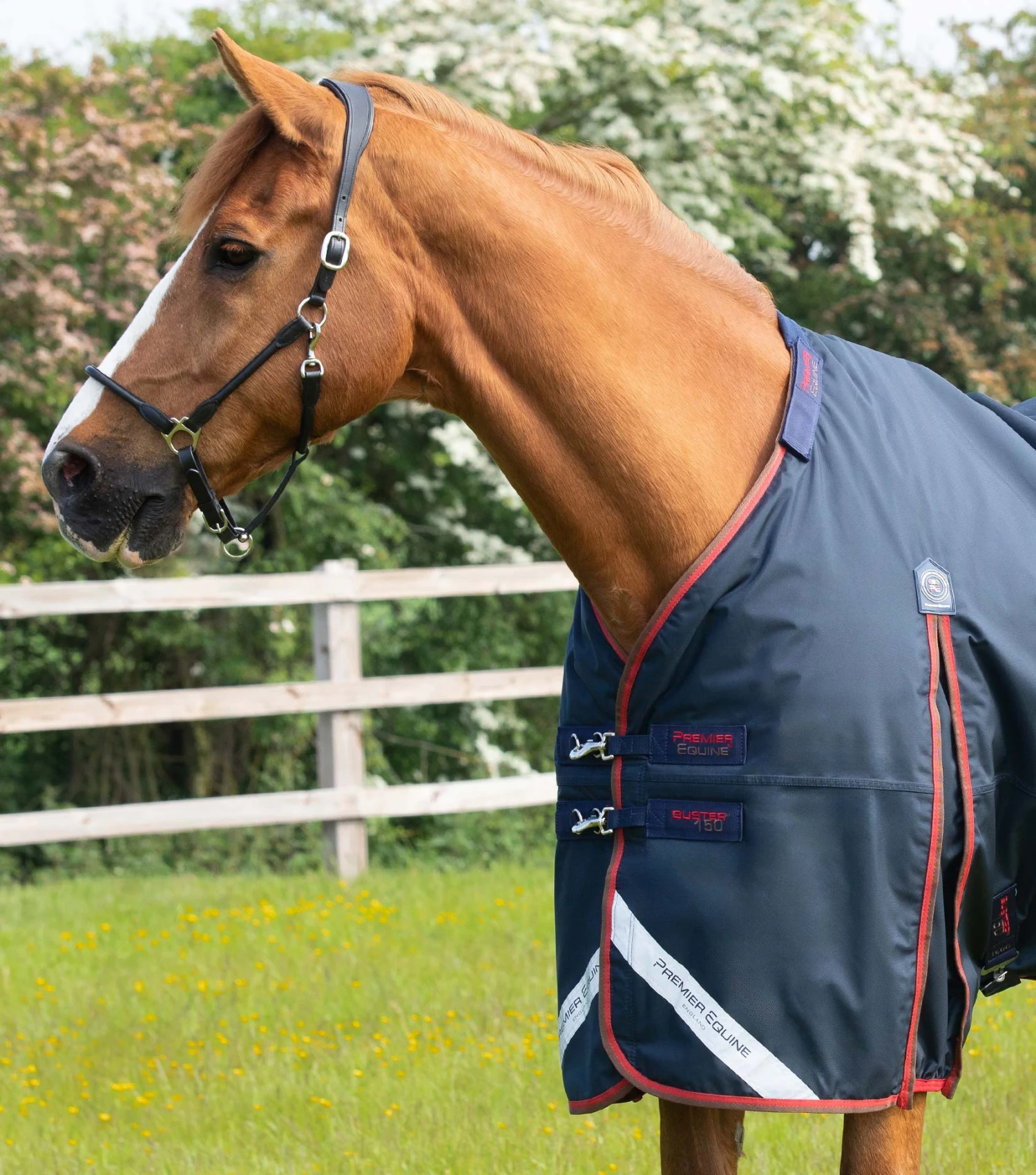 Buster 150g Turnout Rug With Classic Neck Cover 5 Buster 150g Turnout Rug With Classic Neck Cover - Image 3