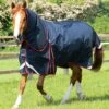 Buster 250g Turnout Rug With Classic Neck Cover