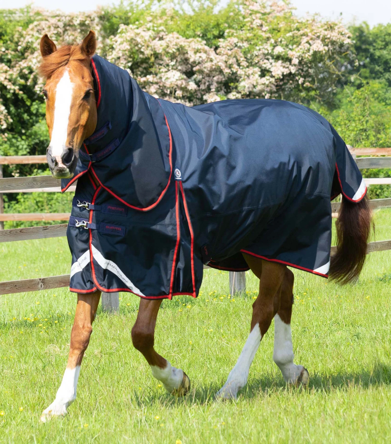 Buster 250g Turnout Rug With Classic Neck Cover 3 Buster 250g Turnout Rug With Classic Neck Cover