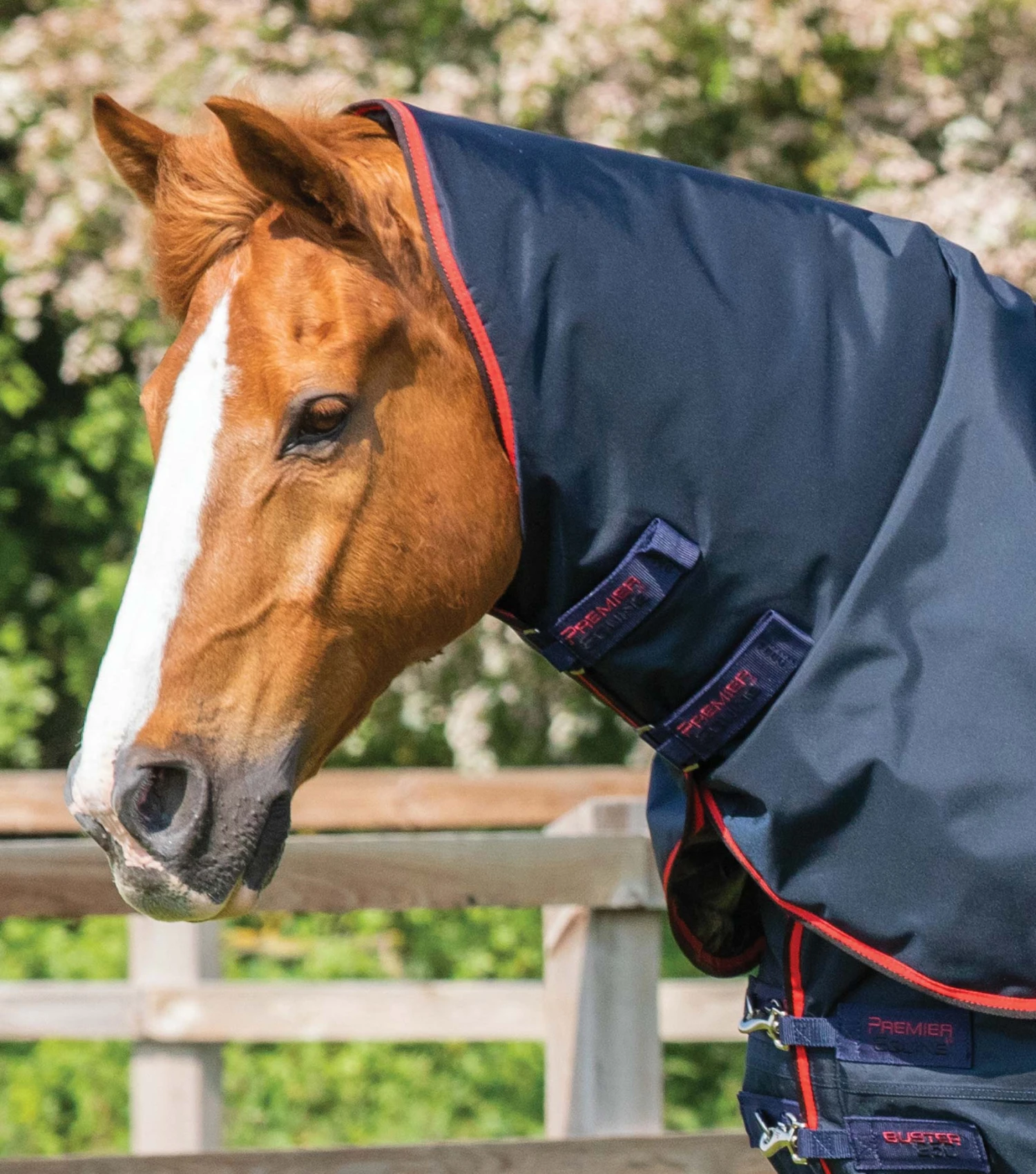 Buster 250g Turnout Rug With Classic Neck Cover 4 Buster 250g Turnout Rug With Classic Neck Cover - Image 2