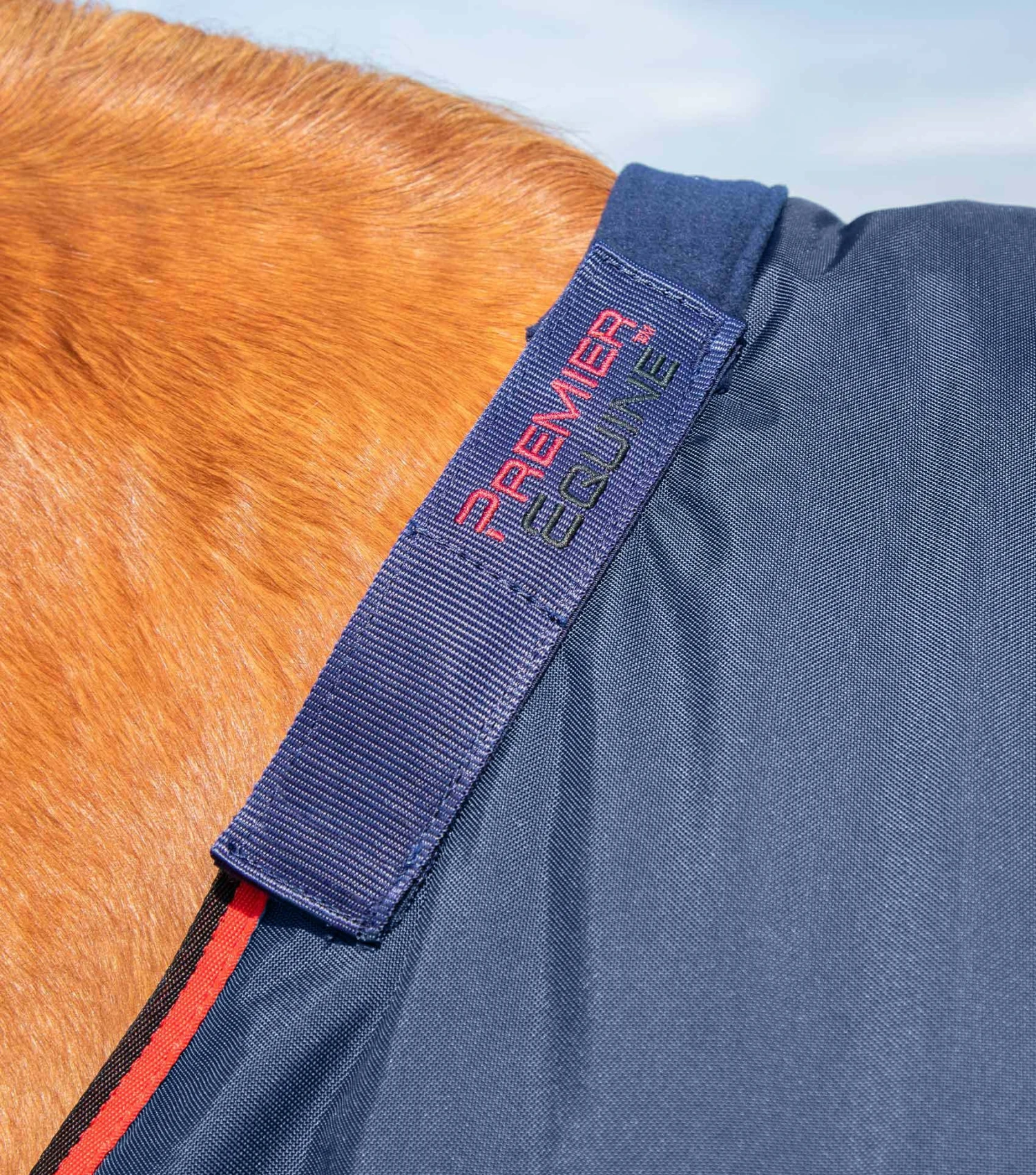 Buster 250g Turnout Rug With Classic Neck Cover 5 Buster 250g Turnout Rug With Classic Neck Cover - Image 3