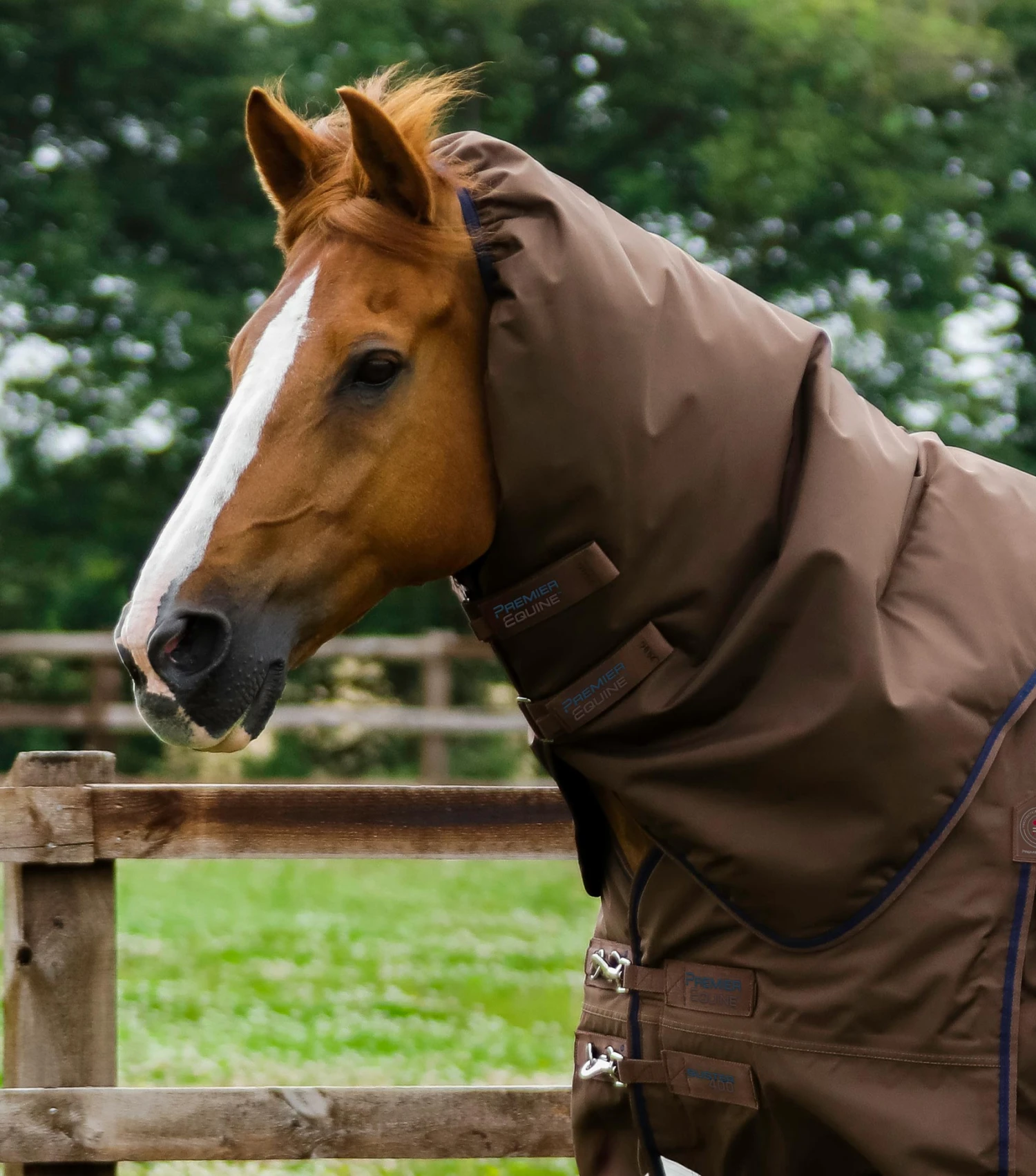 Buster 400g Turnout Rug Neck Cover (200g Fill) 3 Buster 400g Turnout Rug Neck Cover (200g Fill)