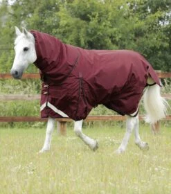 Buster 400g Turnout Rug With Snug-Fit Neck Cover -Premier Equine Buster 400 Turnout Rug Burgundy 1