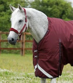 Buster 400g Turnout Rug With Snug-Fit Neck Cover -Premier Equine Buster 400 Turnout Rug Burgundy 2