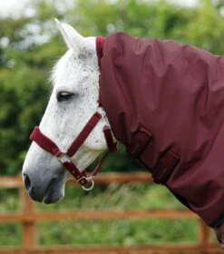 Buster 400g Turnout Rug With Snug-Fit Neck Cover -Premier Equine Buster 400 Turnout Rug Burgundy 3