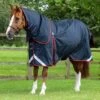 Buster 420g Turnout Rug With Classic Neck Cover