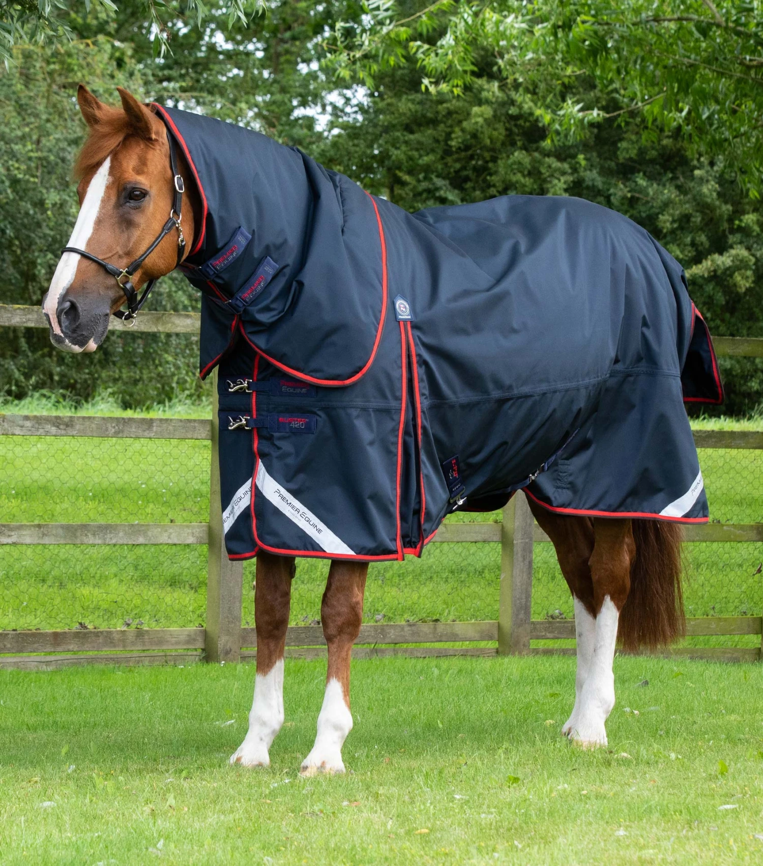 Buster 420g Turnout Rug With Classic Neck Cover 3 Buster 420g Turnout Rug With Classic Neck Cover