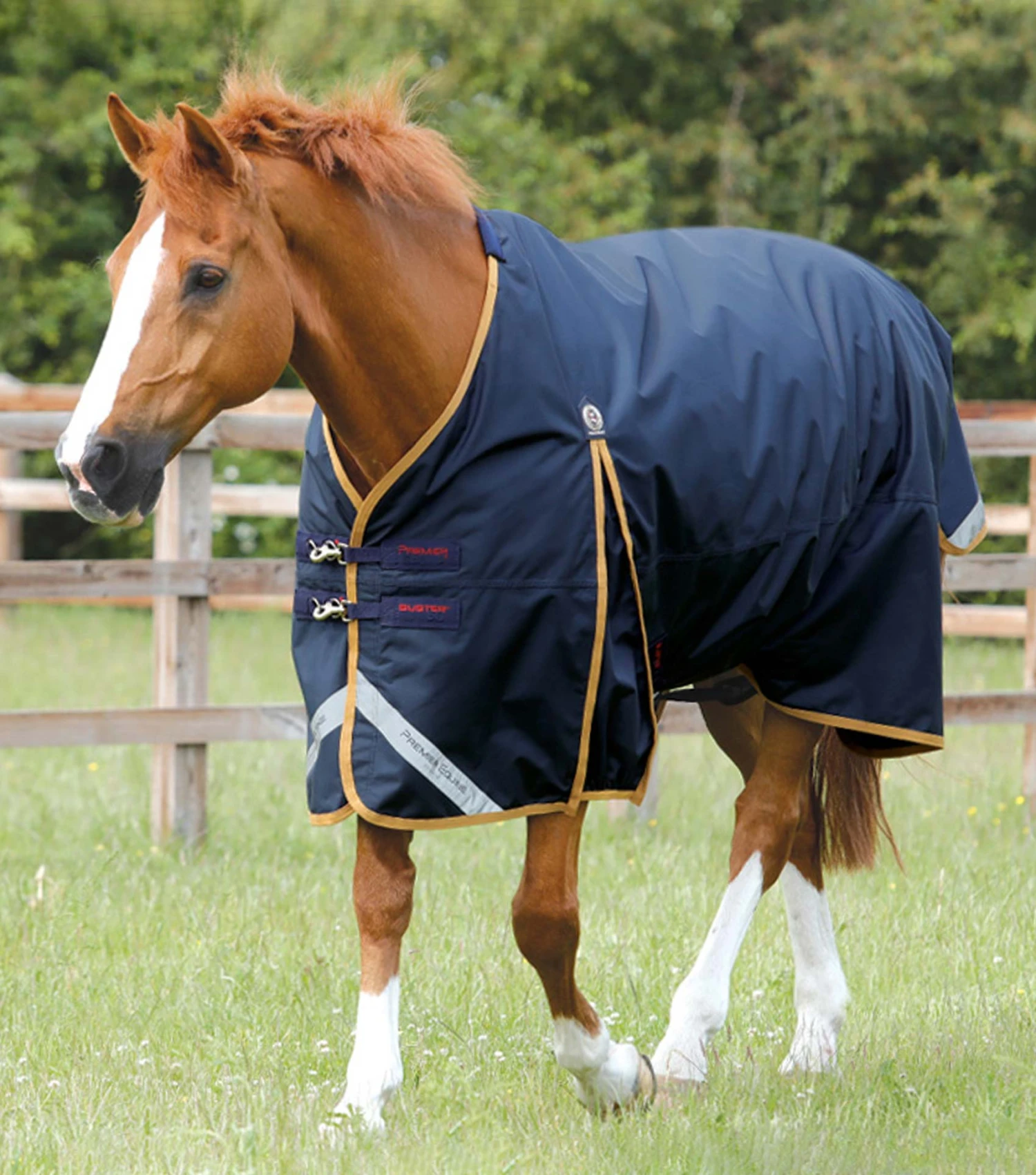 Buster 50g Original Turnout Rug 3 Buster 50g Original Turnout Rug