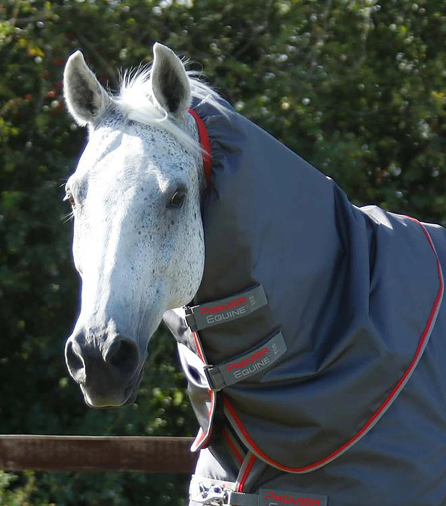 Buster 50g Turnout Rug Neck Cover (50g Fill) 4 Buster 50g Turnout Rug Neck Cover (50g Fill) - Image 2