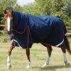 Buster 50g Turnout Rug With Snug-Fit Neck Cover