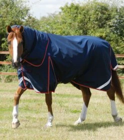 Buster 50g Turnout Rug With Snug-Fit Neck Cover