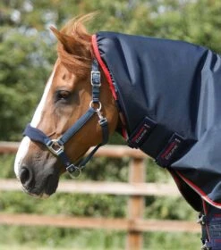 Buster 50g Turnout Rug With Snug-Fit Neck Cover -Premier Equine Buster 50 Turnout Rug Navy 3