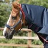 Buster 50g Turnout Rug Neck Cover (50g Fill) -Premier Equine Buster 50 Turnout Rug Navy 3 0d5ba0c9 9f42 4225 8865 dc6f4d2db540