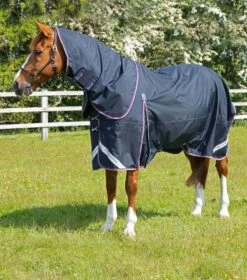 Buster 70g Turnout Rug With Classic Neck Cover