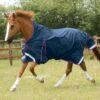 Buster Hardy 0g Half Neck Turnout Rug 2 Buster Hardy 0g Half Neck Turnout Rug -Premier Equine Buster Hardy 0 Turnout Rug Navy 1 39e89753 0e5e 477f 829c 1b44cae20981