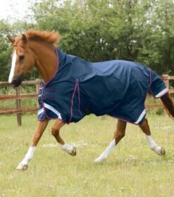 Buster Hardy 0g Half Neck Turnout Rug