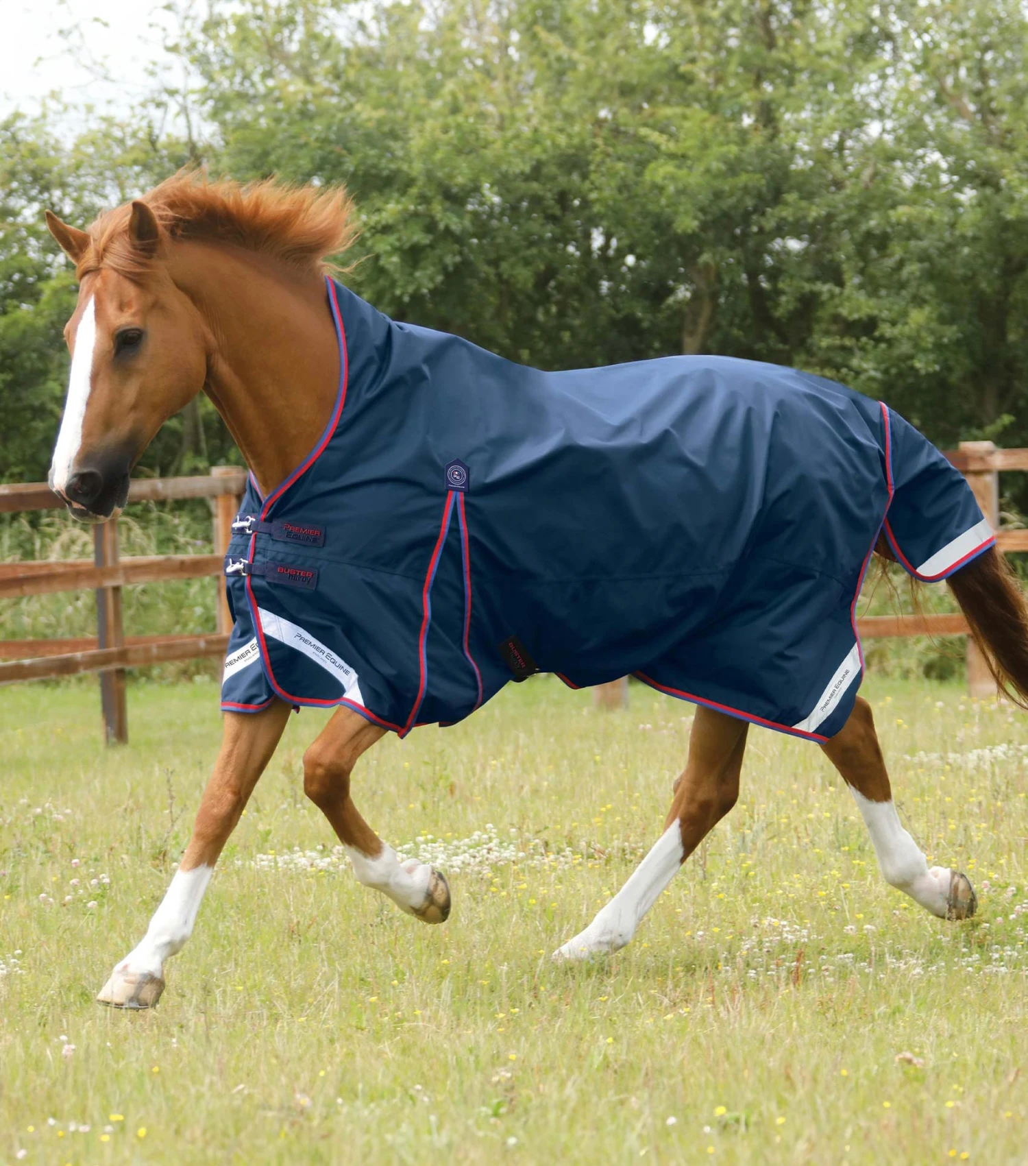 Buster Hardy 0g Half Neck Turnout Rug 3 Buster Hardy 0g Half Neck Turnout Rug