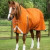 Buster Hardy 400g Half Neck Turnout Rug 2 Buster Hardy 400g Half Neck Turnout Rug -Premier Equine Buster Hardy Burnt Orange 1