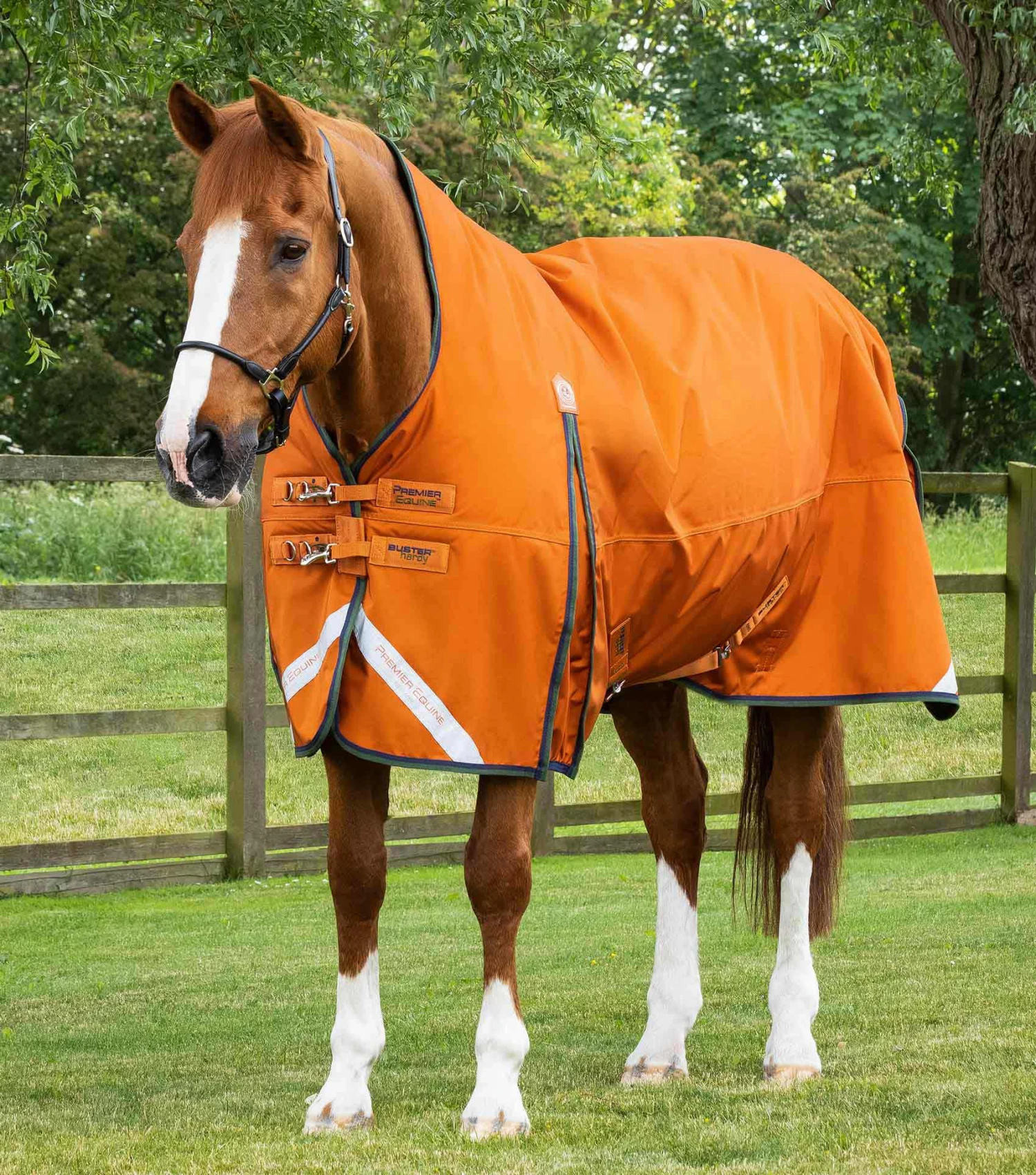 Buster Hardy 400g Half Neck Turnout Rug 3 Buster Hardy 400g Half Neck Turnout Rug