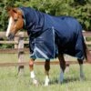 Buster Storm 100g Combo Turnout Rug With Snug-Fit Neck -Premier Equine Buster Storm 100 Turnout Rug Navy 1 f4b564c3 19a7 4279 a30e 865b94eea32e