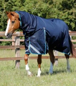 Buster Storm 100g Combo Turnout Rug With Snug-Fit Neck