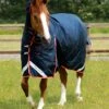 Buster Storm 200g Combo Turnout Rug With Snug-Fit Neck 1 Buster Storm 200g Combo Turnout Rug With Snug-Fit Neck -Premier Equine Buster Storm 200 Turnout Rug Navy 1
