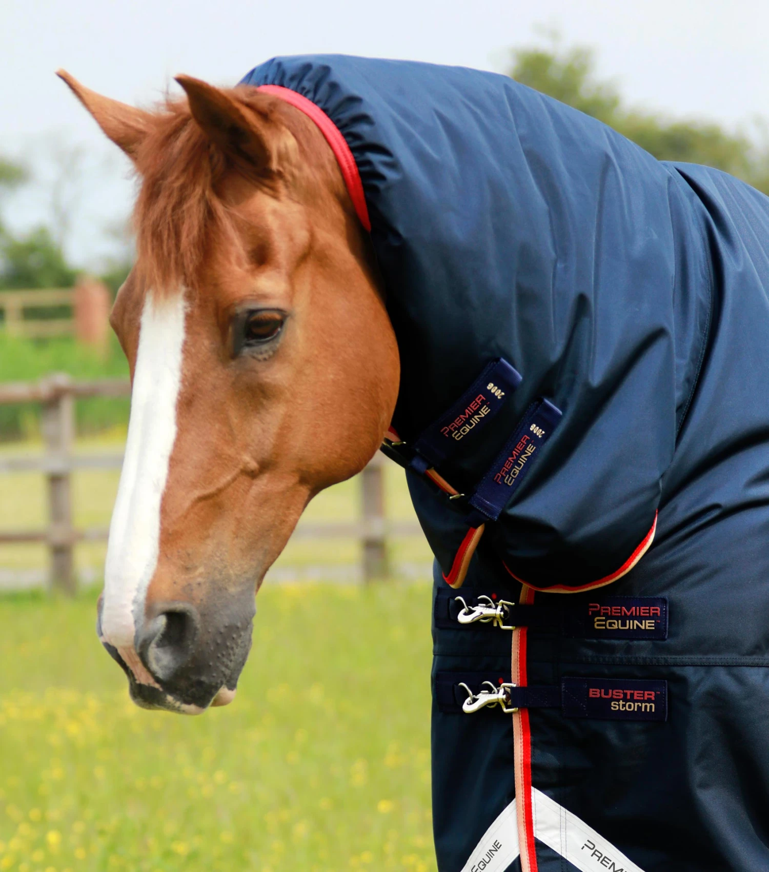 Buster Storm 200g Combo Turnout Rug With Snug-Fit Neck 4 Buster Storm 200g Combo Turnout Rug With Snug-Fit Neck - Image 2