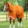Buster Storm 400g Combo Turnout Rug With Classic Neck