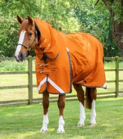 Buster Storm 400g Combo Turnout Rug With Classic Neck