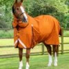 Buster Storm 200g Combo Turnout Rug With Classic Neck