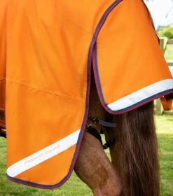Buster Storm 200g Combo Turnout Rug With Classic Neck -Premier Equine Buster Storm Burnt Orange 6 Summer