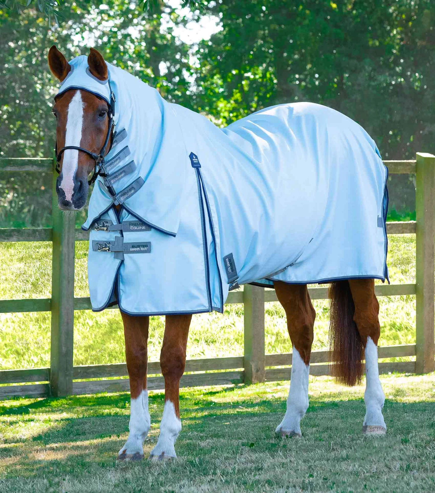 Buster Sweet Itch Fly Rug With Surcingles 3 Buster Sweet Itch Fly Rug With Surcingles