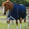 Buster Zero Original Turnout Rug -Premier Equine Buster Zero Original Turnout Rug Navy 1